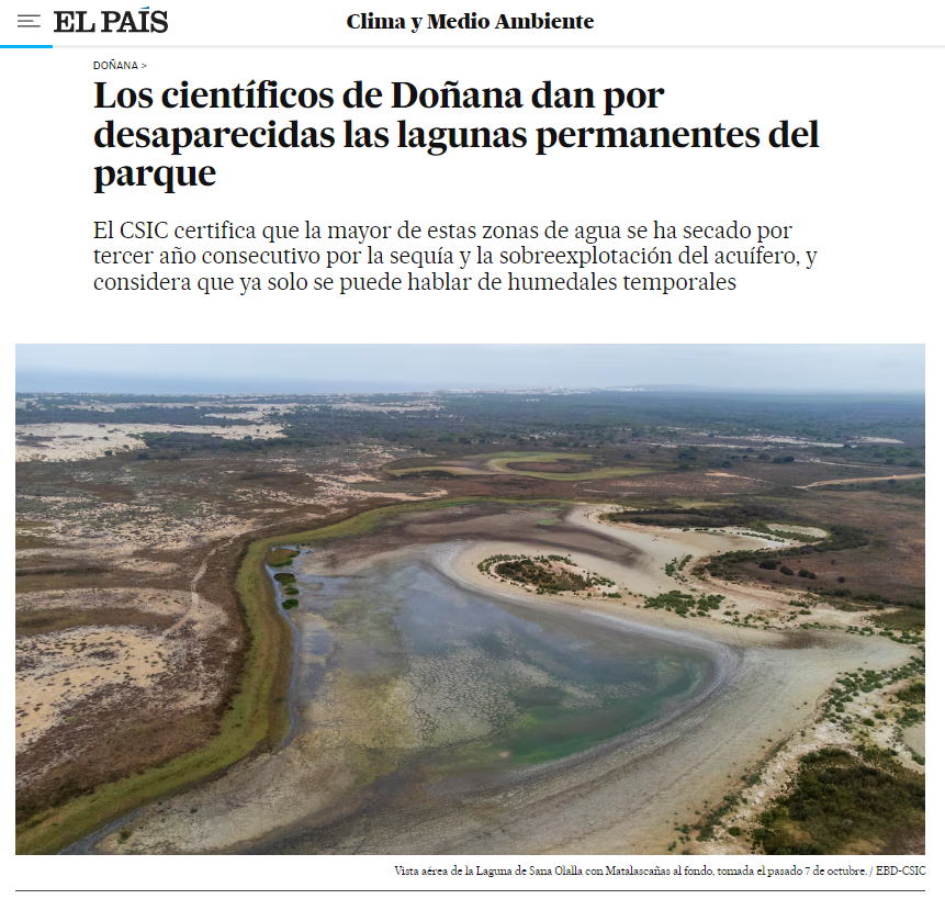 Miguel A. Gómez-Serrano tweet media