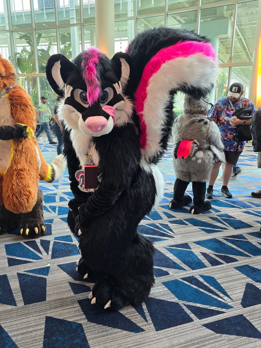 SamyLeStinker's tweet image. T A I L 🦨