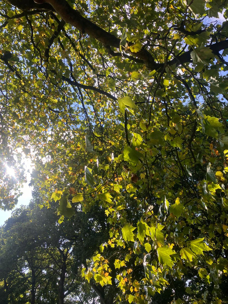 Being You Leeds (@beingyouleeds) on Twitter photo Join us tomorrow morning at 10am at Cross Flatts Park for a walk together for World Mental Health Day! Followed by coffee, cakes and games at <a href="/HamaraCentre/">Hamara Centre</a> ! Contact Kim - 07484515528 or Rob - 07484515529
#WMHD2024 Join us tomorrow morning at 10am at Cross Flatts Park for a walk together for World Mental Health Day! Followed by coffee, cakes and games at <a href="/HamaraCentre/">Hamara Centre</a> ! Contact Kim - 07484515528 or Rob - 07484515529
#WMHD2024