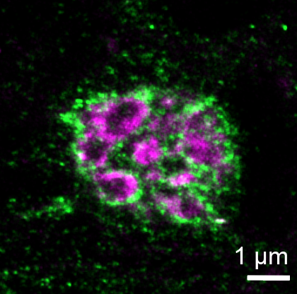 Tianchi Chen tweet media