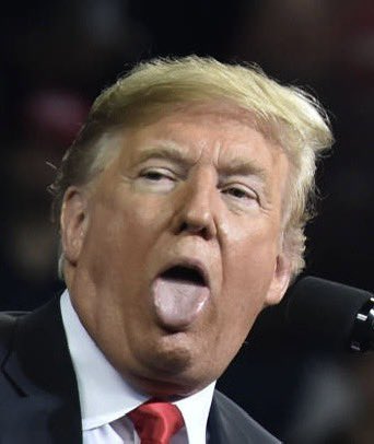 How in the f**k can this election be close? 

Kamala Harris is behaving every bit like a Commander In Chief. 

Donald Trump is behaving every bit like a mentally disturbed POS. 

are we clear?