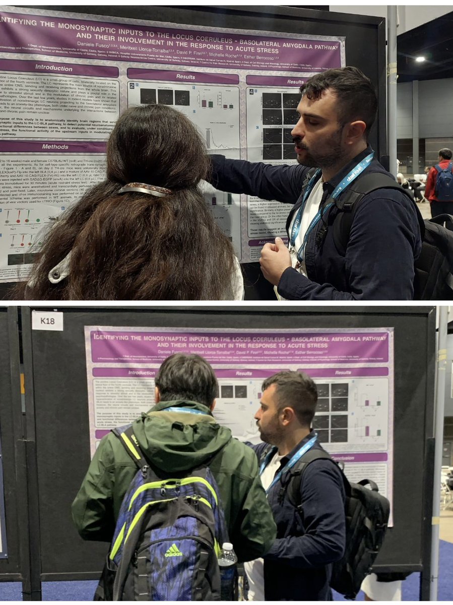 Esther Berrocoso Lab (@berrocoso_lab) on Twitter photo Very proud of our colleague <a href="/Danielefusco/">Daniele Fusco</a> for presenting our latest findings on monosynaptic inputs to the LC-BLA and their role in the response to acute stress at
#SFN2024 Great work 🙌<a href="/HaPpYejd2021/">HaPpYEJD2021</a> <a href="/univcadiz/">Universidad de Cádiz</a> <a href="/INiBICA_IIS/">INiBICA</a> @CIBER_SAM <a href="/uniofgalway/">Ollscoil na Gaillimhe | University of Galway</a> <a href="/DavidFinn14/">David Finn</a> <a href="/REISestres/">Red Española de Investigación en Estrés</a> Very proud of our colleague <a href="/Danielefusco/">Daniele Fusco</a> for presenting our latest findings on monosynaptic inputs to the LC-BLA and their role in the response to acute stress at
#SFN2024 Great work 🙌<a href="/HaPpYejd2021/">HaPpYEJD2021</a> <a href="/univcadiz/">Universidad de Cádiz</a> <a href="/INiBICA_IIS/">INiBICA</a> @CIBER_SAM <a href="/uniofgalway/">Ollscoil na Gaillimhe | University of Galway</a> <a href="/DavidFinn14/">David Finn</a> <a href="/REISestres/">Red Española de Investigación en Estrés</a>