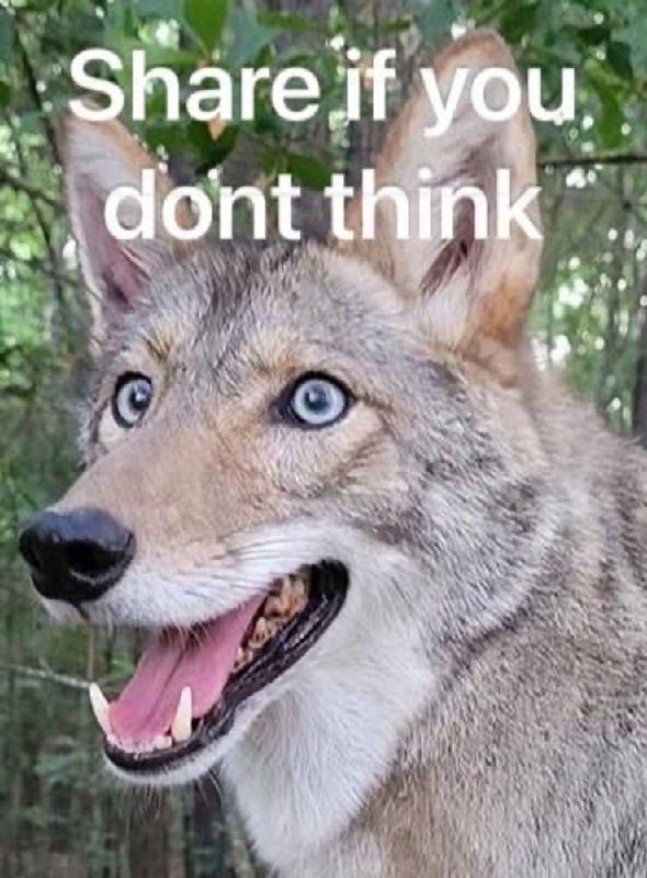 literally a noodle🍜🐉🍞 tweet media