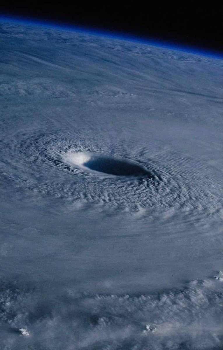 Short Report tweet media