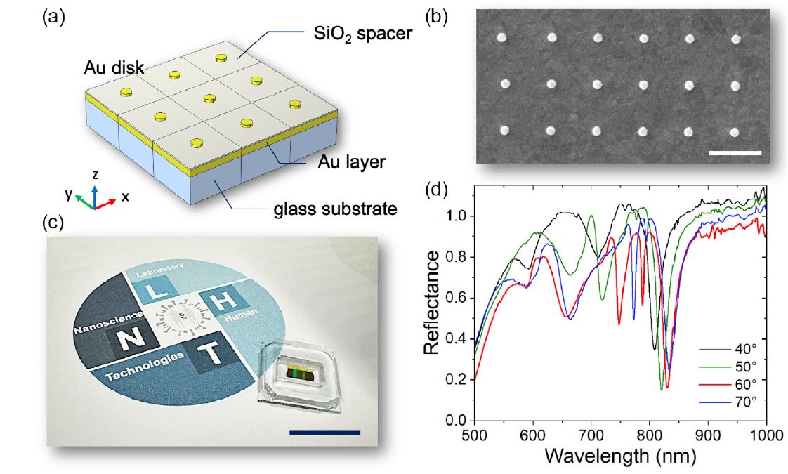 Pino Strangi (@pstrangi) on Twitter photo Happy to share our latest research published in SMALL! We developed biosensing metasurfaces for detecting ultralow molecular weight analytes with high sensitivity. This was a great collaboration between @NLHT_Lab (ITA) <a href="/icmabCSIC/">icmabCSIC</a> (ESP), and <a href="/cwru/">Case Western Reserve</a> (USA). doi.org/10.1002/smsc.2… Happy to share our latest research published in SMALL! We developed biosensing metasurfaces for detecting ultralow molecular weight analytes with high sensitivity. This was a great collaboration between @NLHT_Lab (ITA) <a href="/icmabCSIC/">icmabCSIC</a> (ESP), and <a href="/cwru/">Case Western Reserve</a> (USA). doi.org/10.1002/smsc.2…