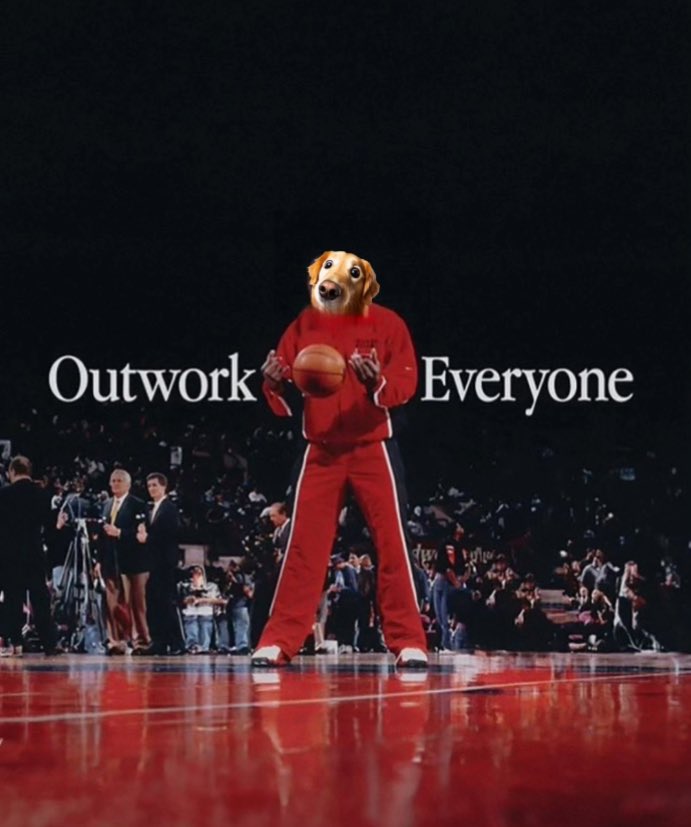 wuffycoin's tweet photo. “Outwork Everyone” 🏀🐾
Wuffy’s got the hustle! #Wuffy #OutworkEveryone #MemeCoin #BasketballDog https://t.co/mTqM1gbWcI