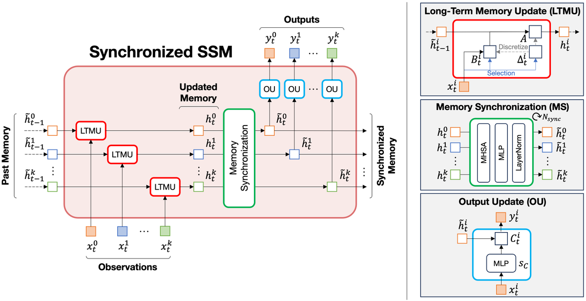 MattiaSegu's tweet photo. At the heart of SambaMOTR is Samba, a set of synchronized state-space models. Each tracklet’s memory is updated based on observations, then synchronized. This ensures that long-term dependencies and interactions among tracklets are captured to predict the next states accurately. https://t.co/XjsBnsnrk5