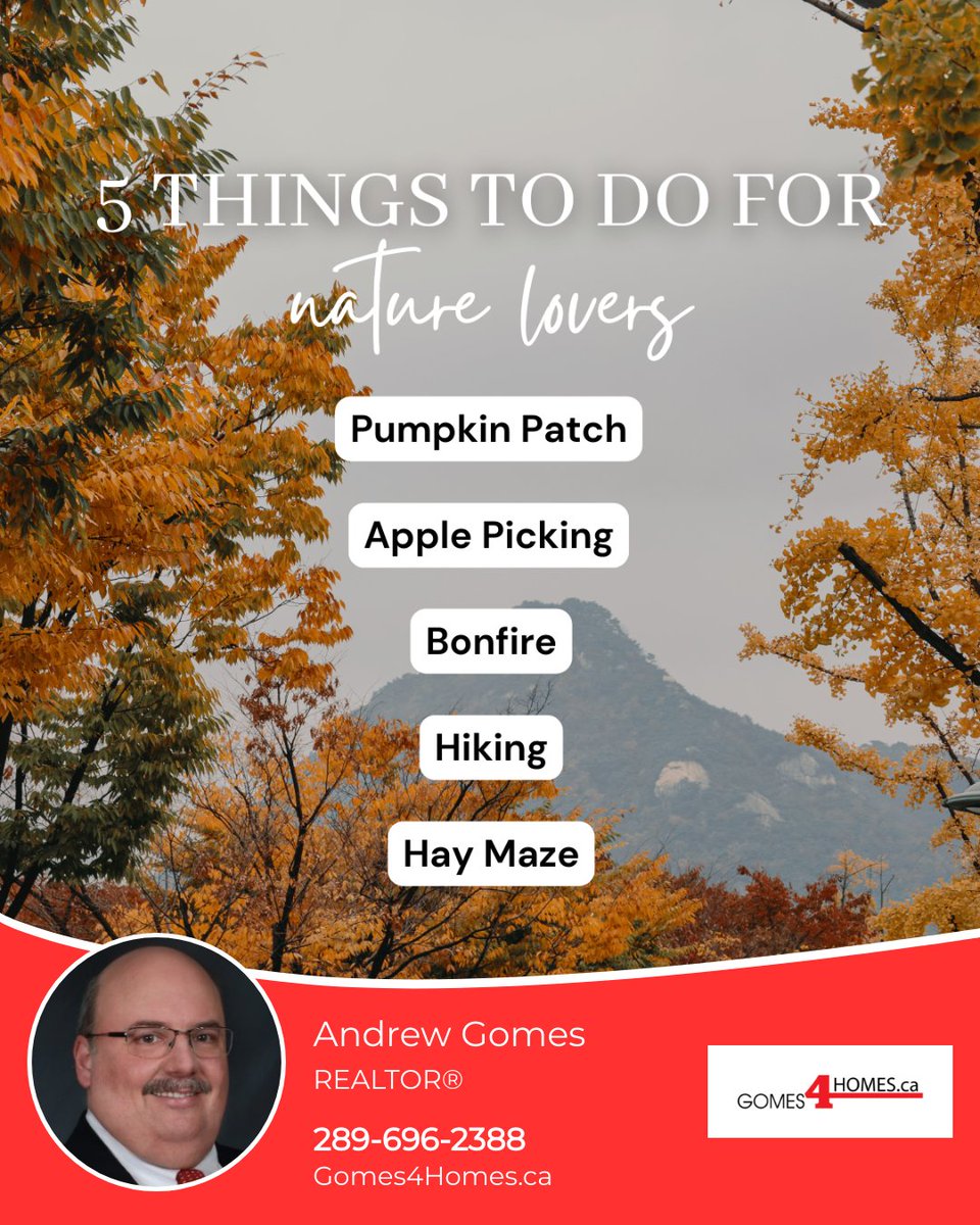 gomes4homes's tweet image. Ah, fall! 🍂 The air crisps up, and our area turns into a canvas of colors. Time to embrace the outdoorsy vibes, right?

Here are some top outdoor activities to dive into around here. What's your go-to fall ritual?

#gomes4homes #royallepagenrc #niagarahomes #renttoown #SRES
