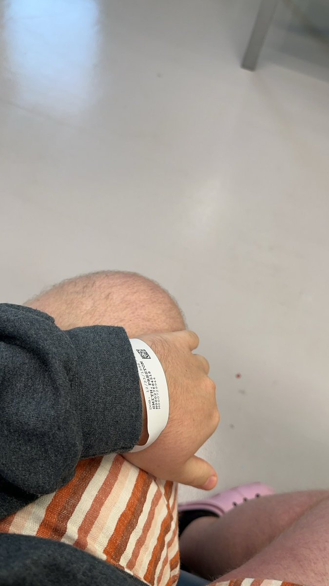 preston tweet media