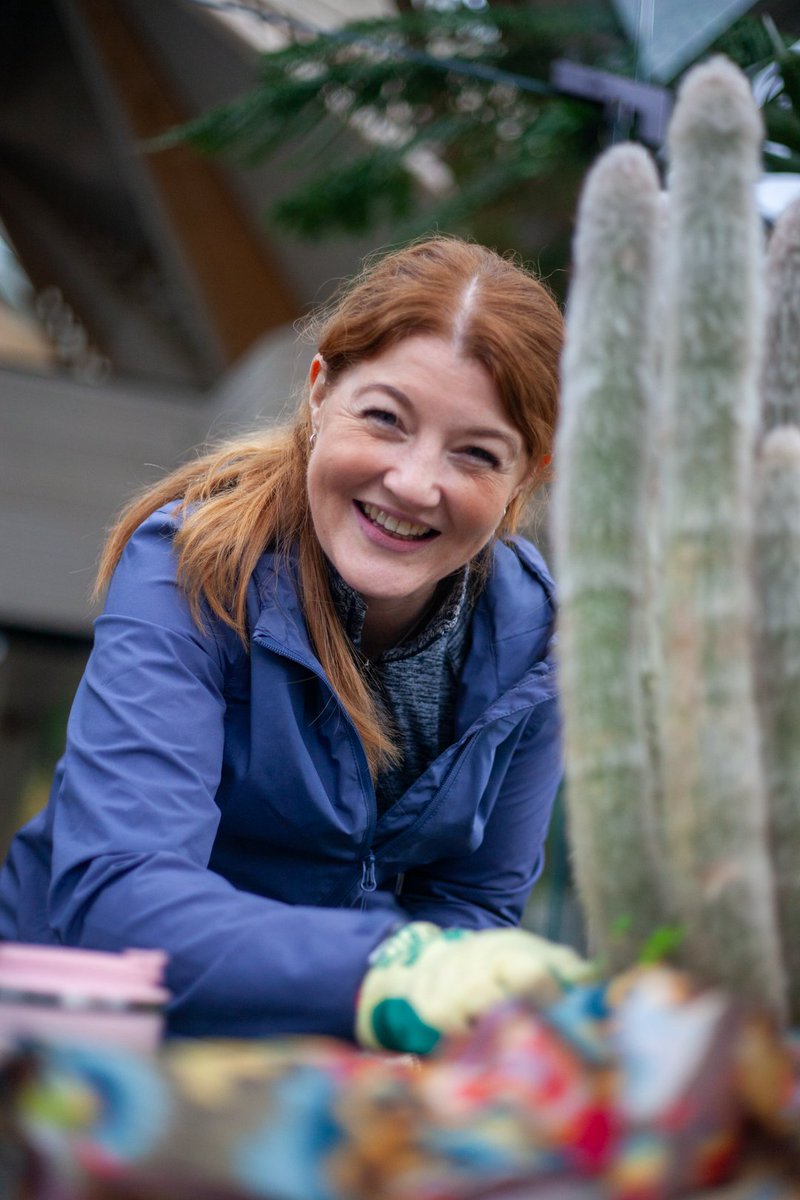 Williams BMW tweet media