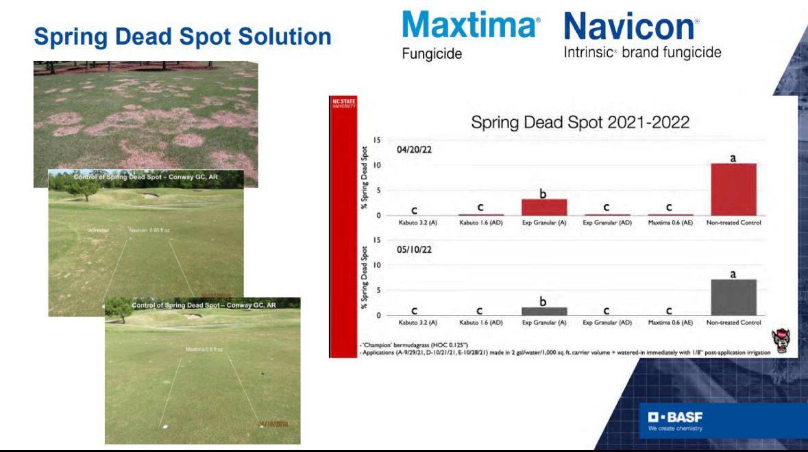 Need  a solid Spring Dead Spot solution?  Try <a href="/basfturf_us/">BASF Turf US</a> Maxtima or Navicon fungicides
- make 2 apps 28 days apart when soil temps are below 70 degrees 
- Maxtima 0.6 oz on fairways or 0.8 oz on greens
- Navicon 0.85 oz on greens + broader spectrum + plant health