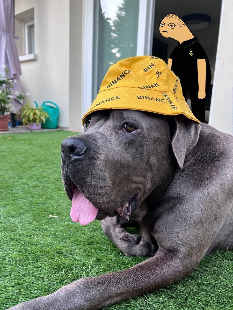 drahmedragab123's tweet photo. @SirGMI @gomugator Buy $zhoa #binancedog and $miling friends 
All are on #BNBChain , dev doxxed and #binancedog is cto
Low mcap with great narrative https://t.co/ym20Vzndd0