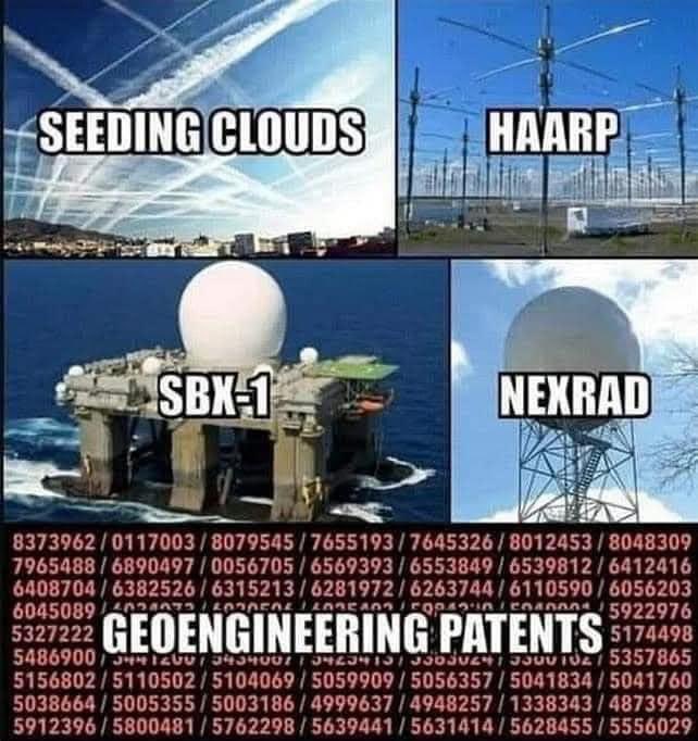 SillaViben 🍄⛪️🇺🇸 tweet media