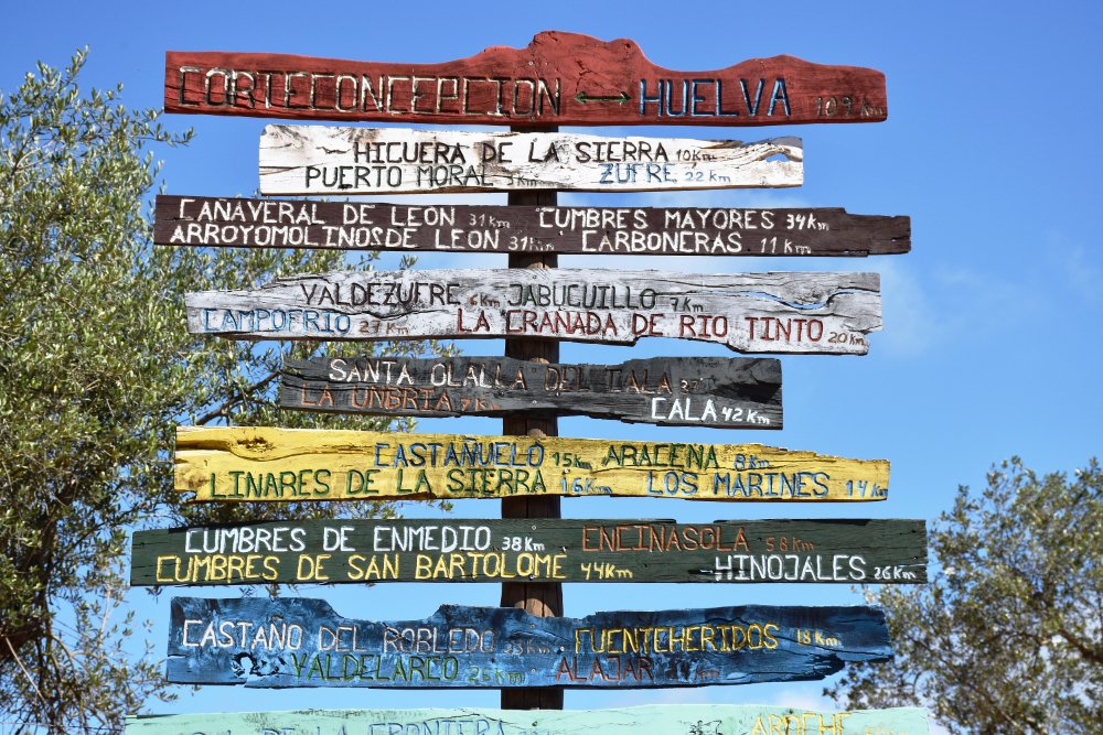 BuzzTrips tweet media