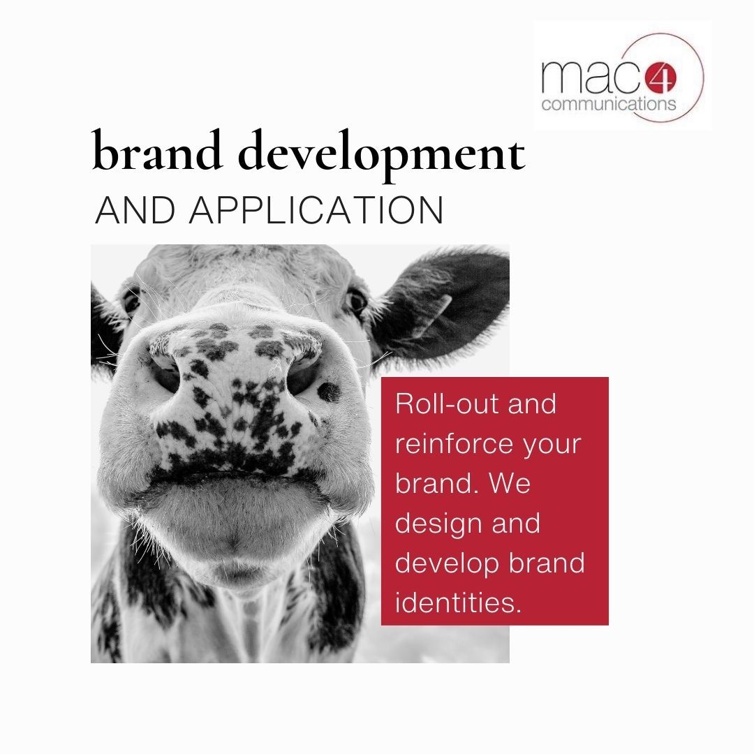mac4comms's tweet image. 🐄  Moo-ve your brand to new heights! Our Brand Development &amp;amp; Application service is your trusted partner in cultivating your corporate identity. #Branding #BrandDevelopment #MarketingAgency buff.ly/3Ube8c5