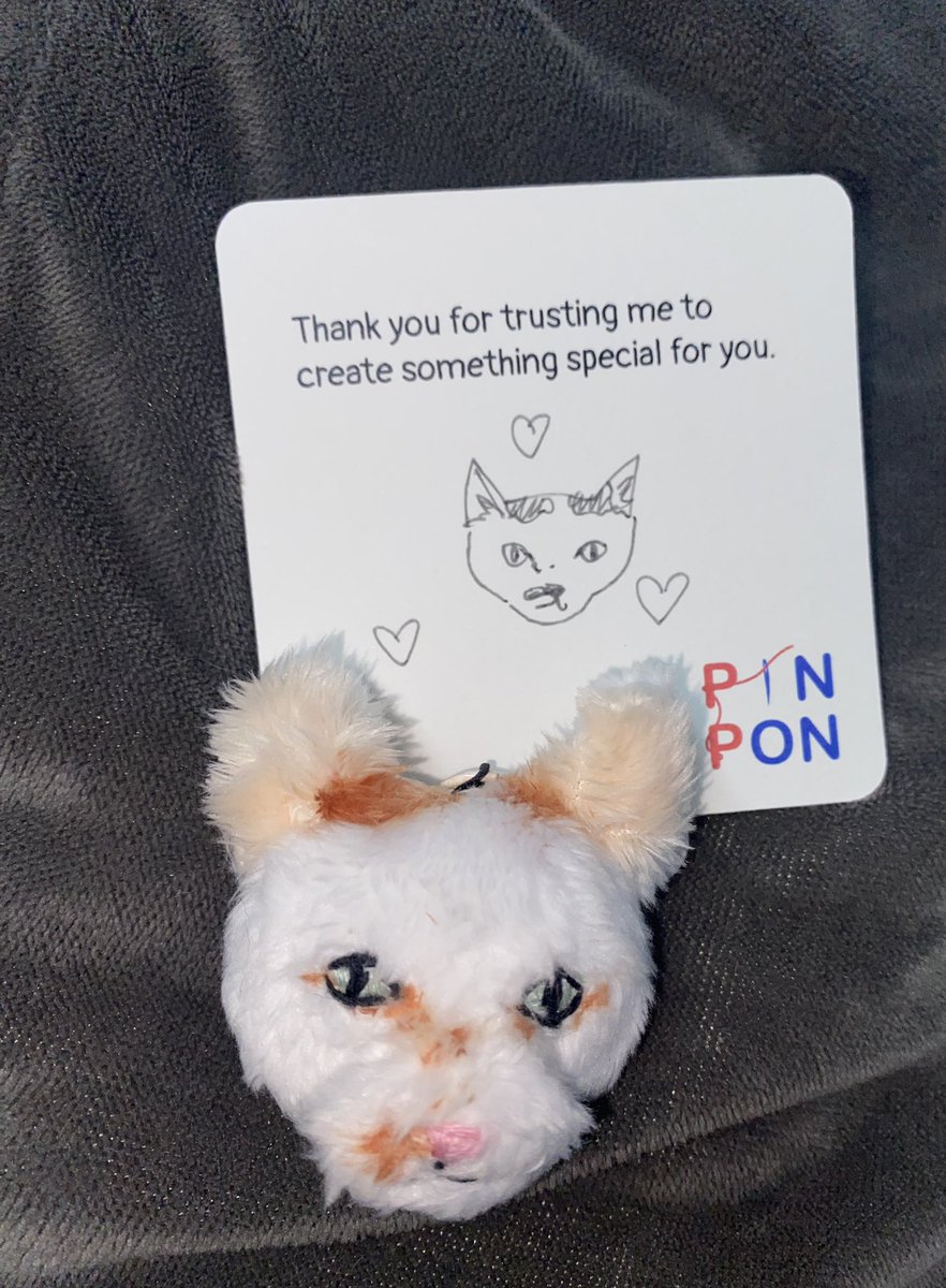 น่ารักมากๆเลยคับบ 🥹🐈🫶🏻 #reviewpinponcrafts