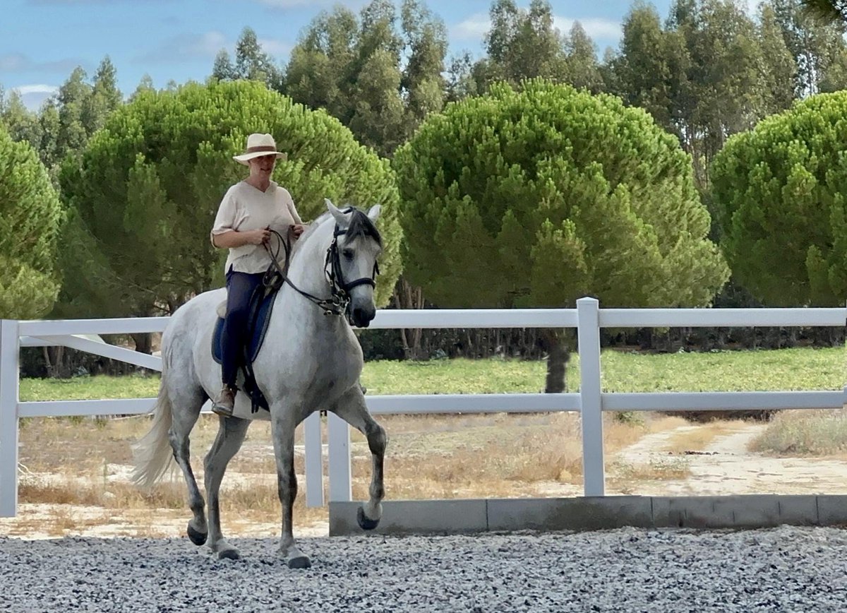 equinemanage's tweet photo. В некоторых ситуациях рабочий подъем шеи будет более высоким. К примеру, у лошадей, которые по своему строению склонны валиться на перед. С такими лошадьми тренеры часто совершают одну ошибку - используют рычажное железо во время обучения. 
https://t.co/yyDvFFmoye https://t.co/qrW2tTuN1G