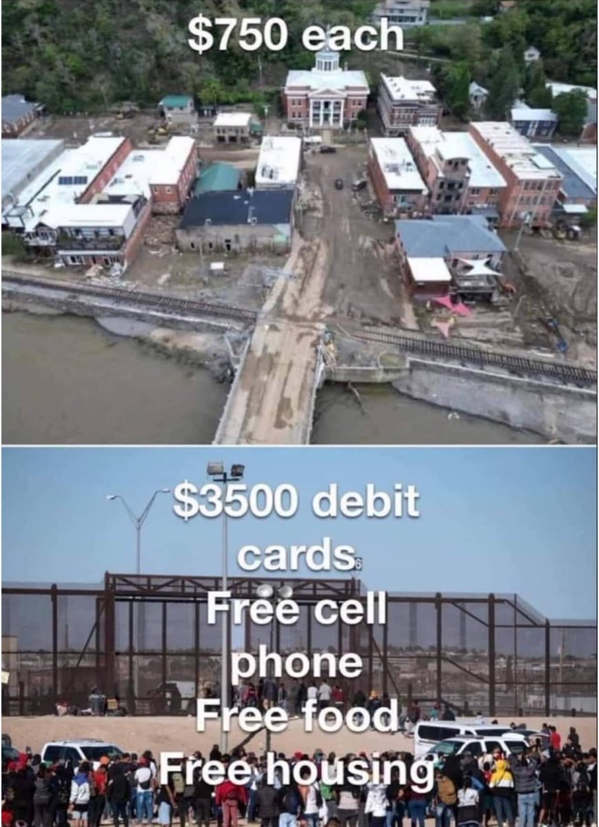 David Sullivan (prosecute, fauci) tweet media