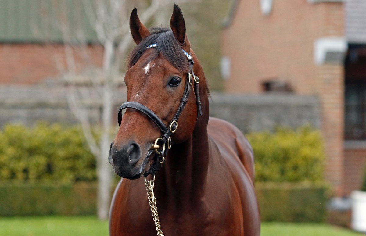 EBN (@bloodstocknews) on Twitter photo 🔷 New winner for <a href="/DarleyEurope/">Darley in Europe</a>'s first-crop sire GHAIYYATH (pic) 🔷
🥇 GETHIN wins by six lengths at <a href="/NottsRacecourse/">Nottingham Racecourse</a> for trainer <a href="/OwenBurrowsRace/">OwenBurrowsRacing</a>. The 2YO colt was bred by Elysian Bloodstock.
🗞 Don't miss the full race report in tomorrow's EBN
#ReadAllAboutIt 🔷 New winner for <a href="/DarleyEurope/">Darley in Europe</a>'s first-crop sire GHAIYYATH (pic) 🔷
🥇 GETHIN wins by six lengths at <a href="/NottsRacecourse/">Nottingham Racecourse</a> for trainer <a href="/OwenBurrowsRace/">OwenBurrowsRacing</a>. The 2YO colt was bred by Elysian Bloodstock.
🗞 Don't miss the full race report in tomorrow's EBN
#ReadAllAboutIt