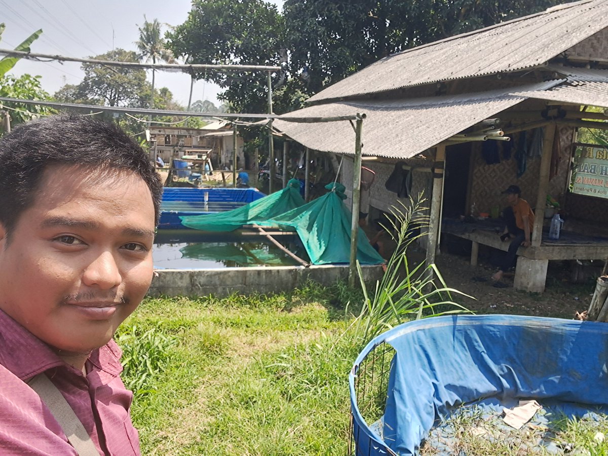 AgungDelly's tweet photo. Selasa ( 03 / 09 ) Delly Agung Rifansyah Luhkan Kabupaten Bogor, di Kelompok Mina Jaya Ciliwung Desa Pandansari Kecamatan Ciawi , Kegiatan Monitoring Usaha Budidaya Kelompok. #giatluhkansatmingkalbogor #Kabbogor #Aktivitas #Budidaya https://t.co/qMRK29nFyG