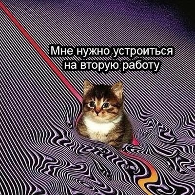 RussianMemesLtd's tweet photo. I need to get a second job https://t.co/eW5l4GTlSo