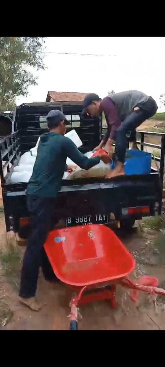 Fridudin tweet media