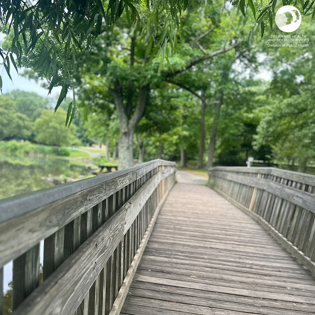 Healthy_DE's tweet photo. This fall, we encourage you to visit a park or trail 🌿🥾 that you haven't explored yet! Build up to 60 minutes of physical activity every day (start with 15 minutes daily) with activities that you enjoy. https://t.co/PpPOnaVr3W https://t.co/0LWvPDeAPs