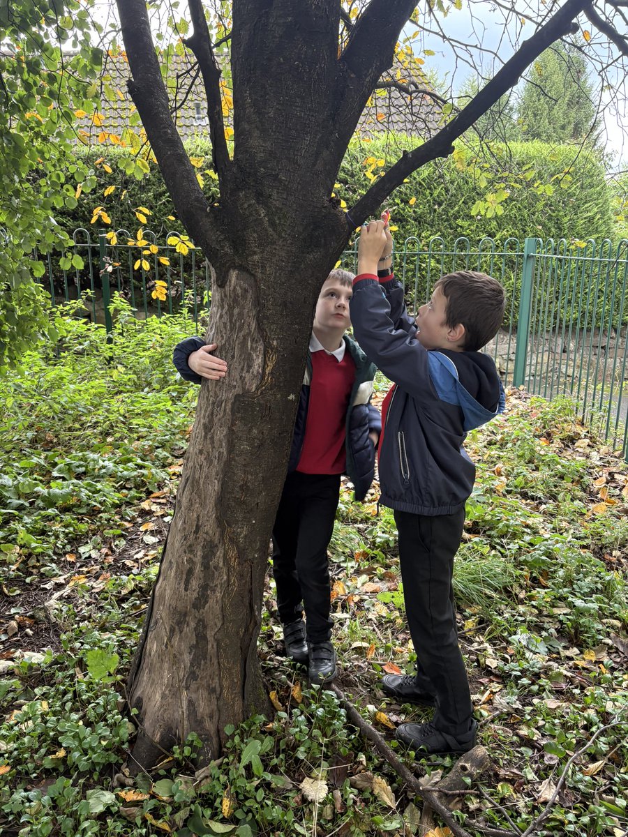 BPSMrsCowie's tweet photo. P5K wrapped up an incredible celebration of our Buddhism topic today 🙏✨. Feeling inspired by the teachings of mindfulness, we came together to reflect and grow together. 🌸 #Peace #Mindfulness #Gratitude @BonnybridgePS @BPSMrsMcKenzie https://t.co/LJQQUQ3qmg
