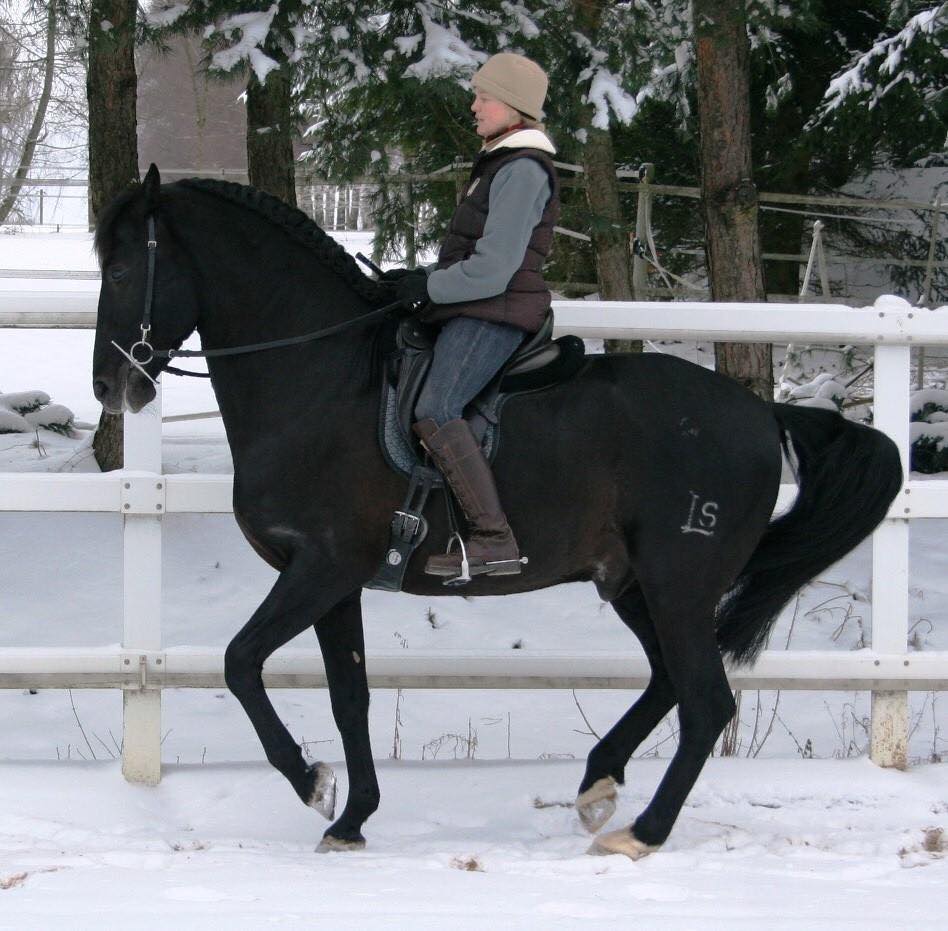 equinemanage's tweet photo. Мышцы спины лошади еще незрелые в 3, 4 и даже в 5 лет.  Но как мы можем достичь этой точки, защищая эти изначально слабые мышцы и избегая дальнейших травм опорно-двигательного аппарата?
https://t.co/HvqCCXd3yI https://t.co/wTpdrSarTl