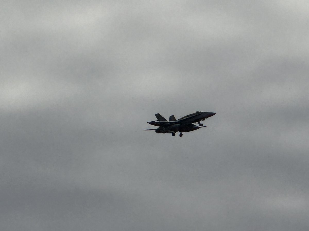 Starving Artist tweet media