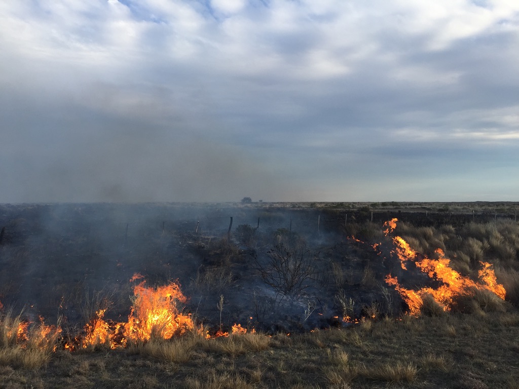 In your opinion, what's the best/most recent/up-to-date book/article on cultural burning and/or management of grasslands and drylands with fire in the Americas? Thanks!