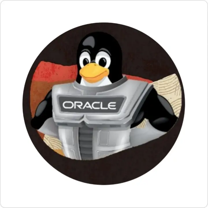 Cesar_DBA's tweet image. How to configure automatic x11 on OCI
cesardba.com.br/como-configura…
#oracleaceprogram #OracleACE