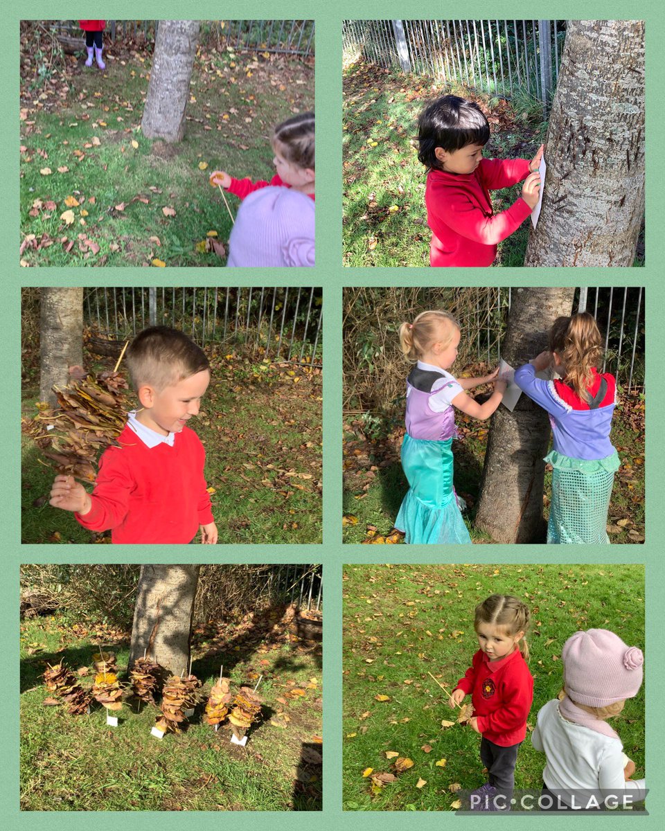 MeithrinYDS's tweet photo. Coed, coed, coed 🌳 https://t.co/azeJ11veMx