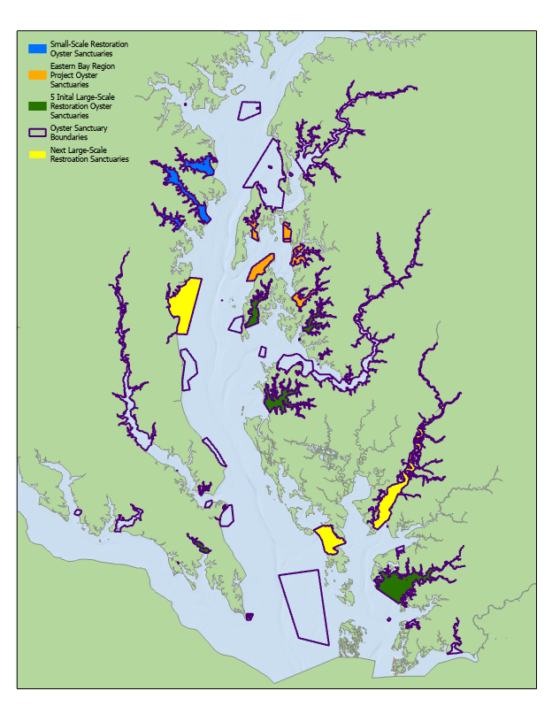 MarylandDNR's tweet photo. 📰: DNR Announces Next Three Large-Scale Oyster Restoration Sanctuaries

Effort comes as part of state’s new Four Point Oyster Sanctuary Plan

Read the entire article here: https://t.co/8FHEcMnM0g https://t.co/6LSwtsRptP