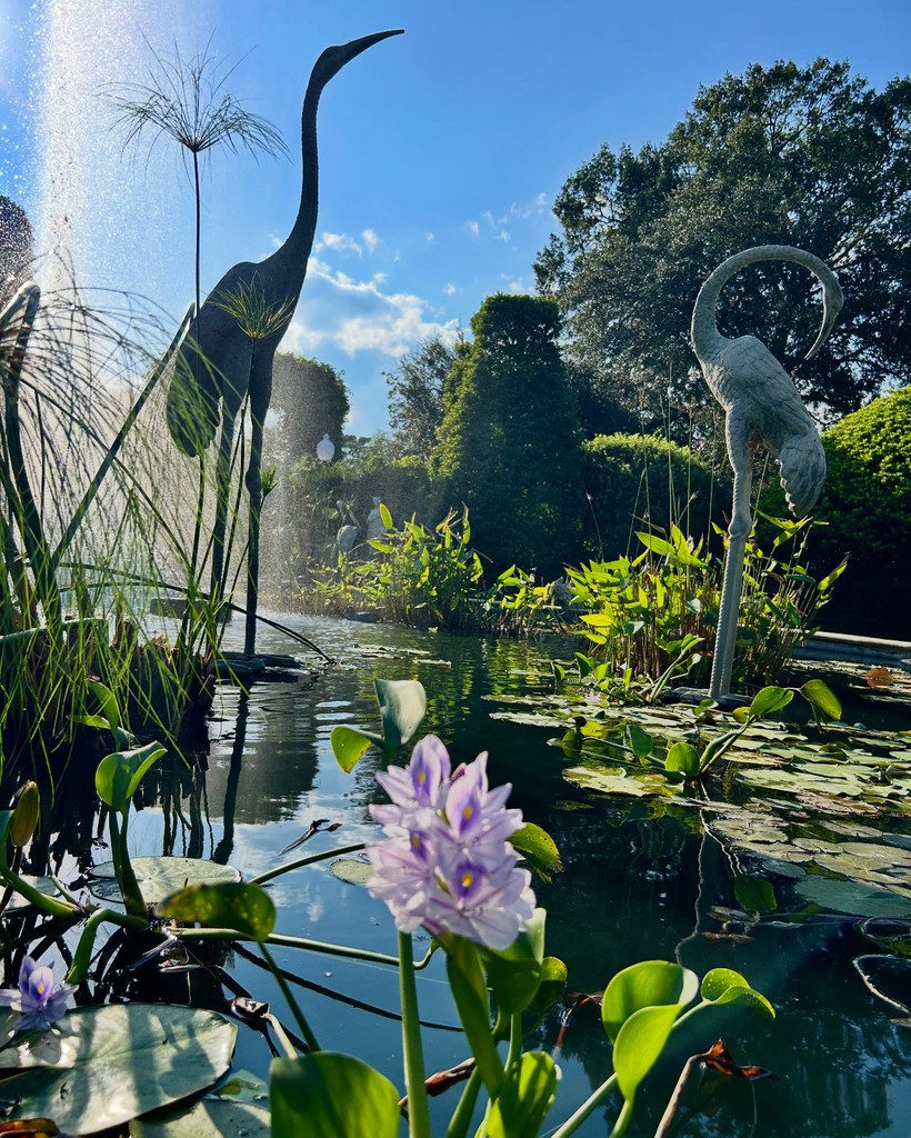 The beautiful cool air has finally arrived, and it's the perfect time to visit Houmas House!