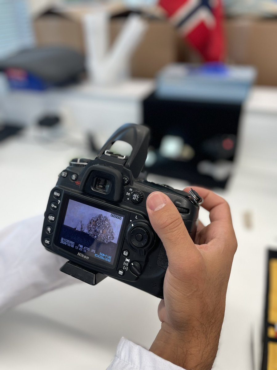 Photography is an important part of the process. Photos help taxonomists identify the distinct features between specimens, and also help us build a catalogue of different species to help future taxonomists with identification.