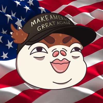 owy_wtf's tweet photo. MAKE AMERICA GREAT AGAIN. 

@elonmusk #NewProfilePic https://t.co/IAkPZoCJ7A