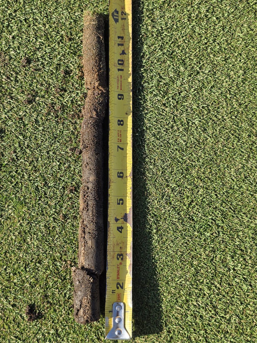 Tim Gravert tweet media