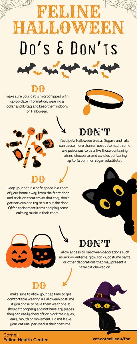 cornellcats's tweet photo. Halloween can be lots of fun, but sometimes it's stressful for our pets. 🎃👻 Here are some Halloween Do's &amp; Don'ts for our feline friends. 🐱 https://t.co/sYlOqxDRbb