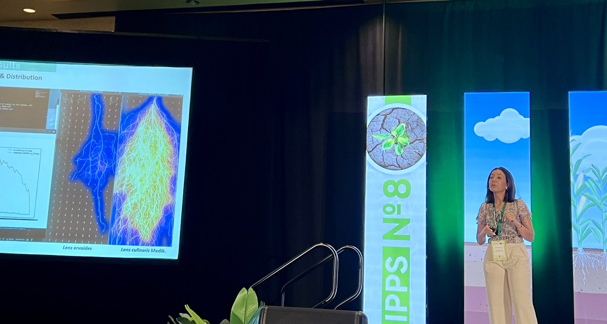 amri_moez's tweet photo. Fantastic talk by our PhD student Salma Rouichi on advanced root system architecture (RSA) screening in the Lens genus! Exciting insights into optimizing breeding strategies for more resilient lentil varieties. @UM6P_officiel @AgapInstitut #ClimateChange #Resilience https://t.co/y115oS4WJL