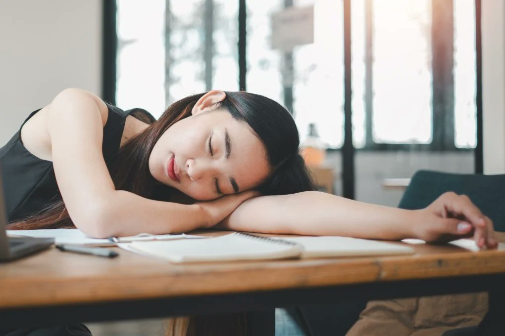 jobkaari's tweet photo. DID YOU KNOW?

Taking a short nap after learning something new can actually help your memory. https://t.co/6eRqrtg98H