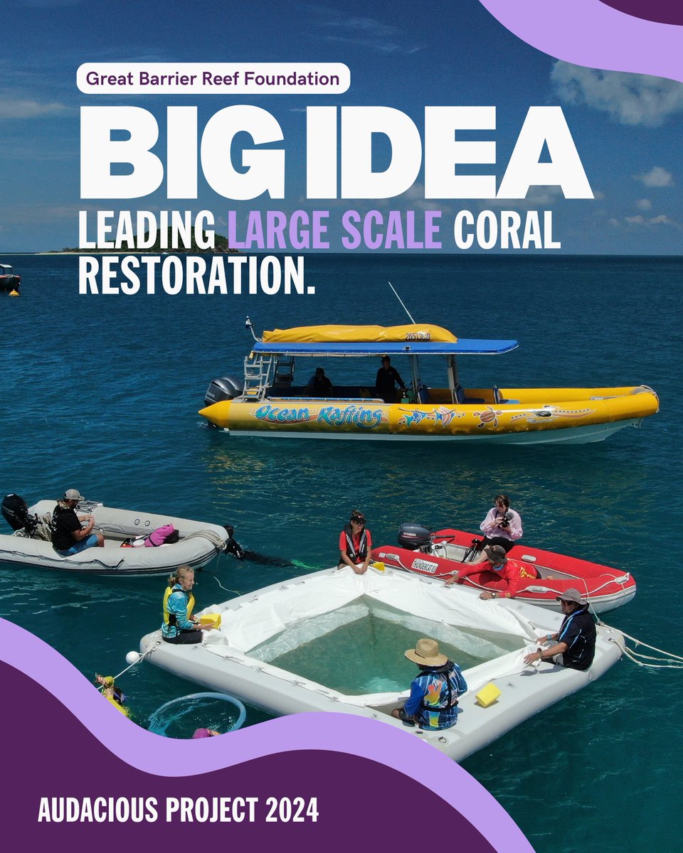 Introducing Great Barrier Reef Foundation 🌊

Without action, 90% of the world’s coral reefs will die by 2050.  

The Great Barrier Reef Foundation is pioneering large-scale coral restoration using advanced technology, to protect and restore these vital ecosystems.  

By 2031,