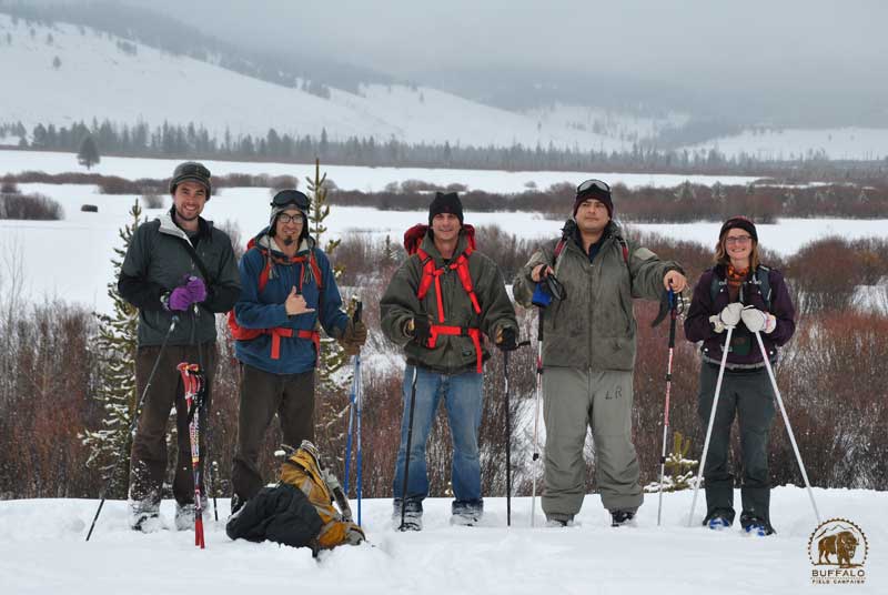 Buffalo Field Campaign tweet media