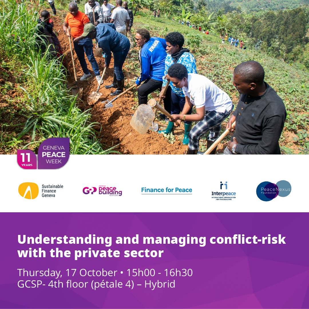 Interpeace tweet media