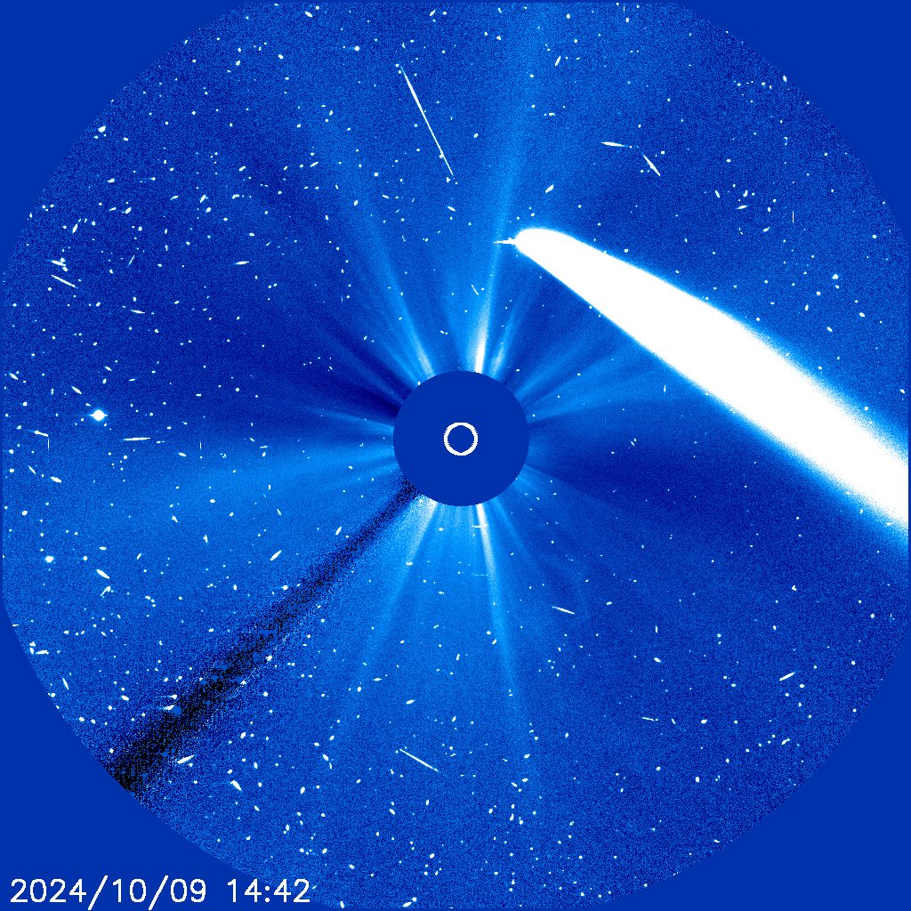 Comet C/2023 A3’s brightness is ‘off the charts’ today, partially saturating <a href="/MissionSoho/">SOHO_Mission</a>’s detectors! 😎
✨Those sparkles in the image are solar energetic particles, as the Sun is still bursting with activity
📷ESA/NASA SOHO