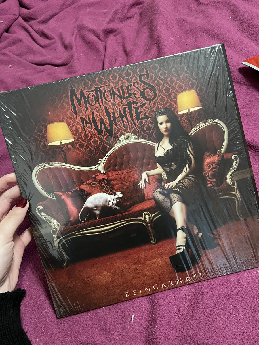 NightMousee's tweet photo. I was finally able to buy this record. I was looking for the original of the early release 🖤🦇

#motionlessinwhite #miw #reincarnate https://t.co/jOV4lrqiix
