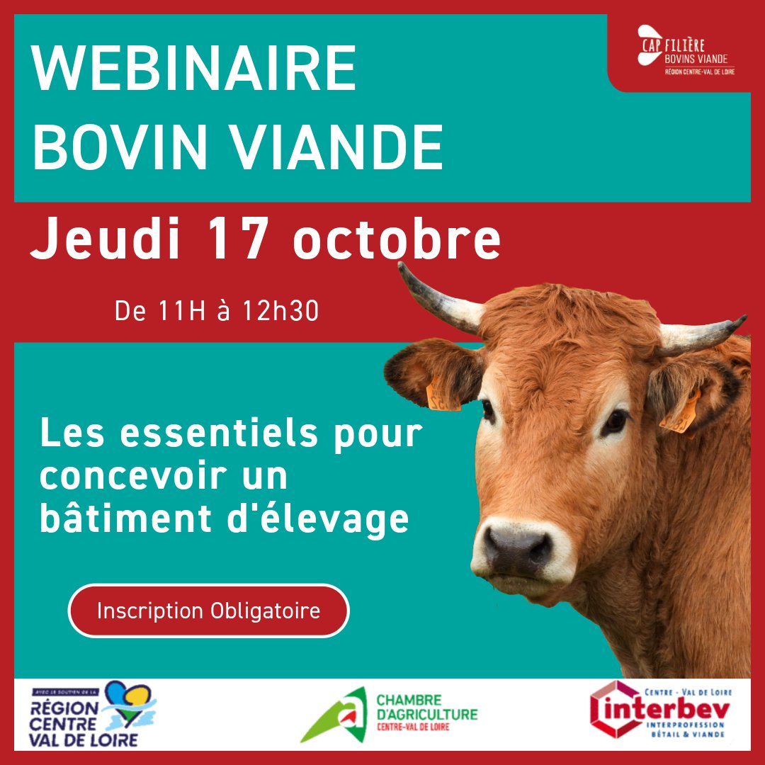 CRA Centre-Val de Loire (@chambagricvl) on Twitter photo 📢 Notre webinaire Bovin Viande c'est demain ! 🐂
📅 Date : jeudi 17 octobre
⏰ Heure : de 11h à 12h30
🔴 Inscription obligatoire : bit.ly/WebinaireBV
<a href="/Interbev_Centre/">Interbev Centre - VL</a> <a href="/RCValdeLoire/">Région Centre-Val de Loire</a> 📢 Notre webinaire Bovin Viande c'est demain ! 🐂
📅 Date : jeudi 17 octobre
⏰ Heure : de 11h à 12h30
🔴 Inscription obligatoire : bit.ly/WebinaireBV
<a href="/Interbev_Centre/">Interbev Centre - VL</a> <a href="/RCValdeLoire/">Région Centre-Val de Loire</a>