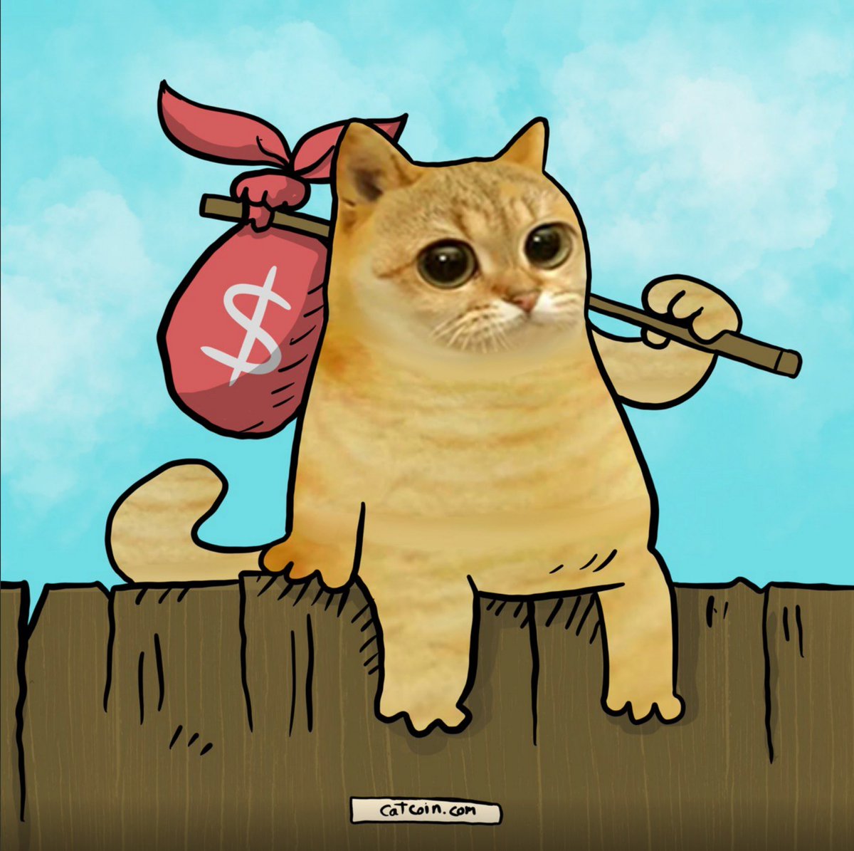 catcoin's tweet photo. #catcoin is your 100x gem 🐱🚀🚀 https://t.co/a4BlEuFzR3