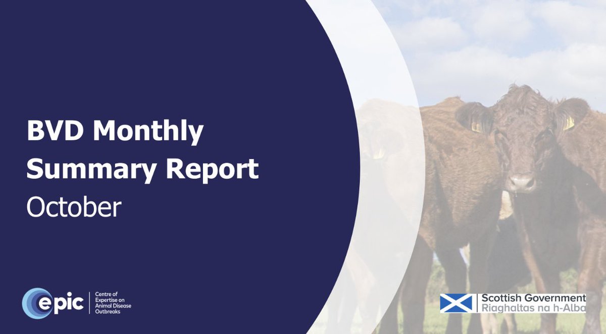 EPIC Scotland (@epicscotland) on Twitter photo The BVD Monthly Summary Report is available on our website. Collated by EPIC, the Animal Health and Welfare Division <a href="/ScotGovRural/">Scot Gov Rural</a> and ScotEID, the report provides information on the progress of the eradication scheme.
Read the report here: epicscotland.org/resources/bvd-…
#Cattle The BVD Monthly Summary Report is available on our website. Collated by EPIC, the Animal Health and Welfare Division <a href="/ScotGovRural/">Scot Gov Rural</a> and ScotEID, the report provides information on the progress of the eradication scheme.
Read the report here: epicscotland.org/resources/bvd-…
#Cattle