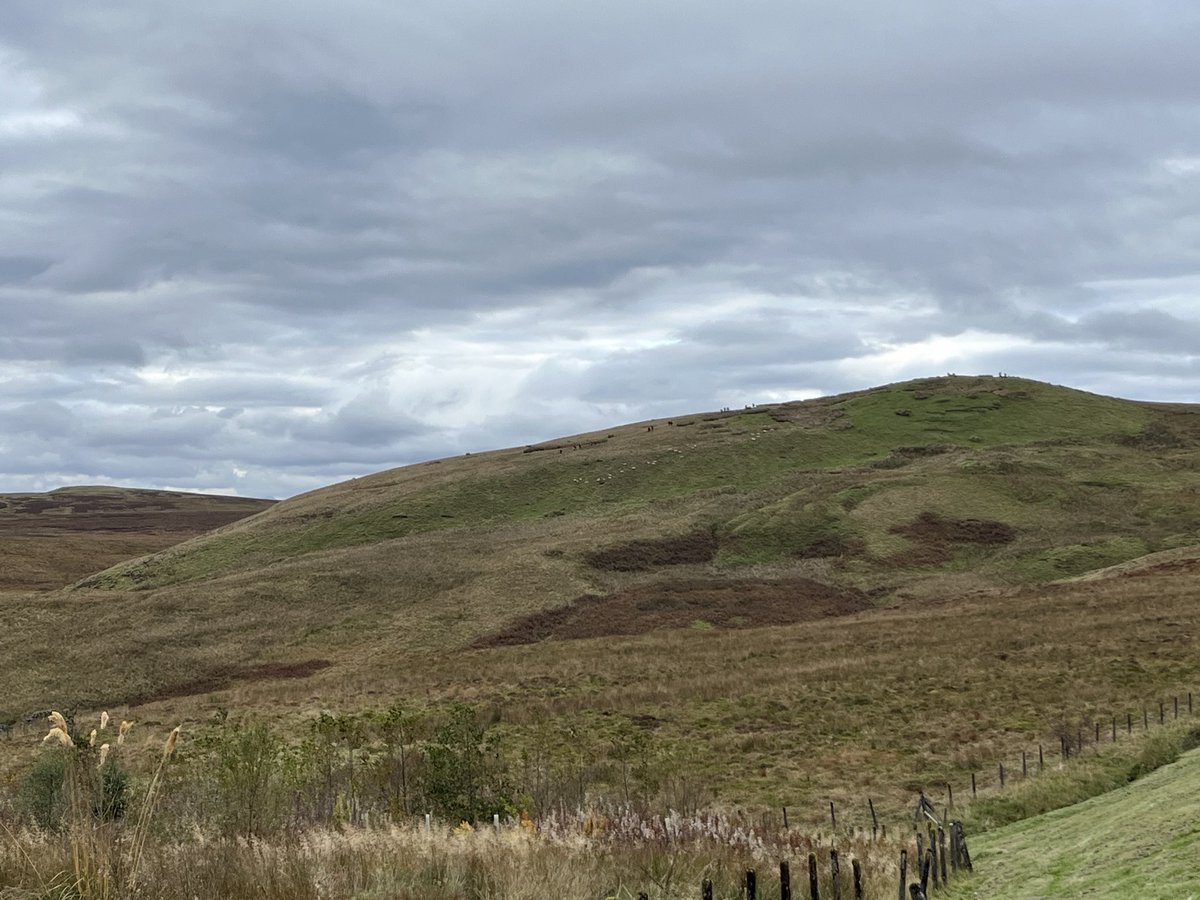 Mr Carter @ UGS DofE tweet media